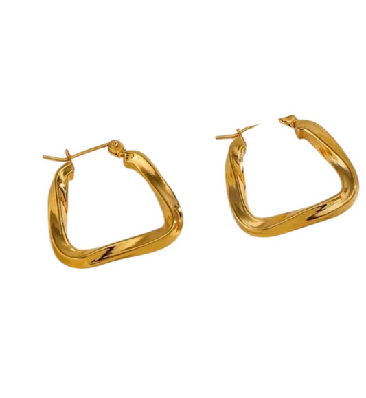 Orecchini Cerchiotto