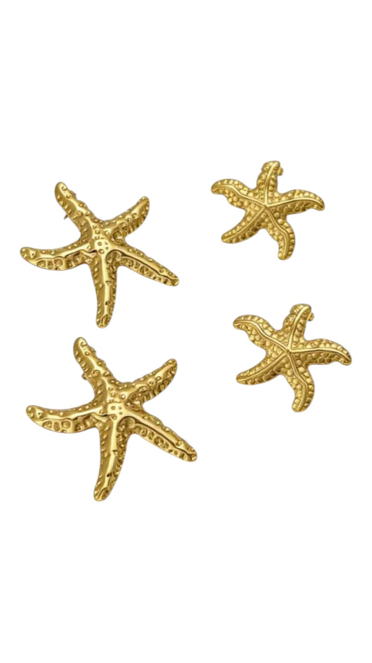 Orecchini stella Marina ￼